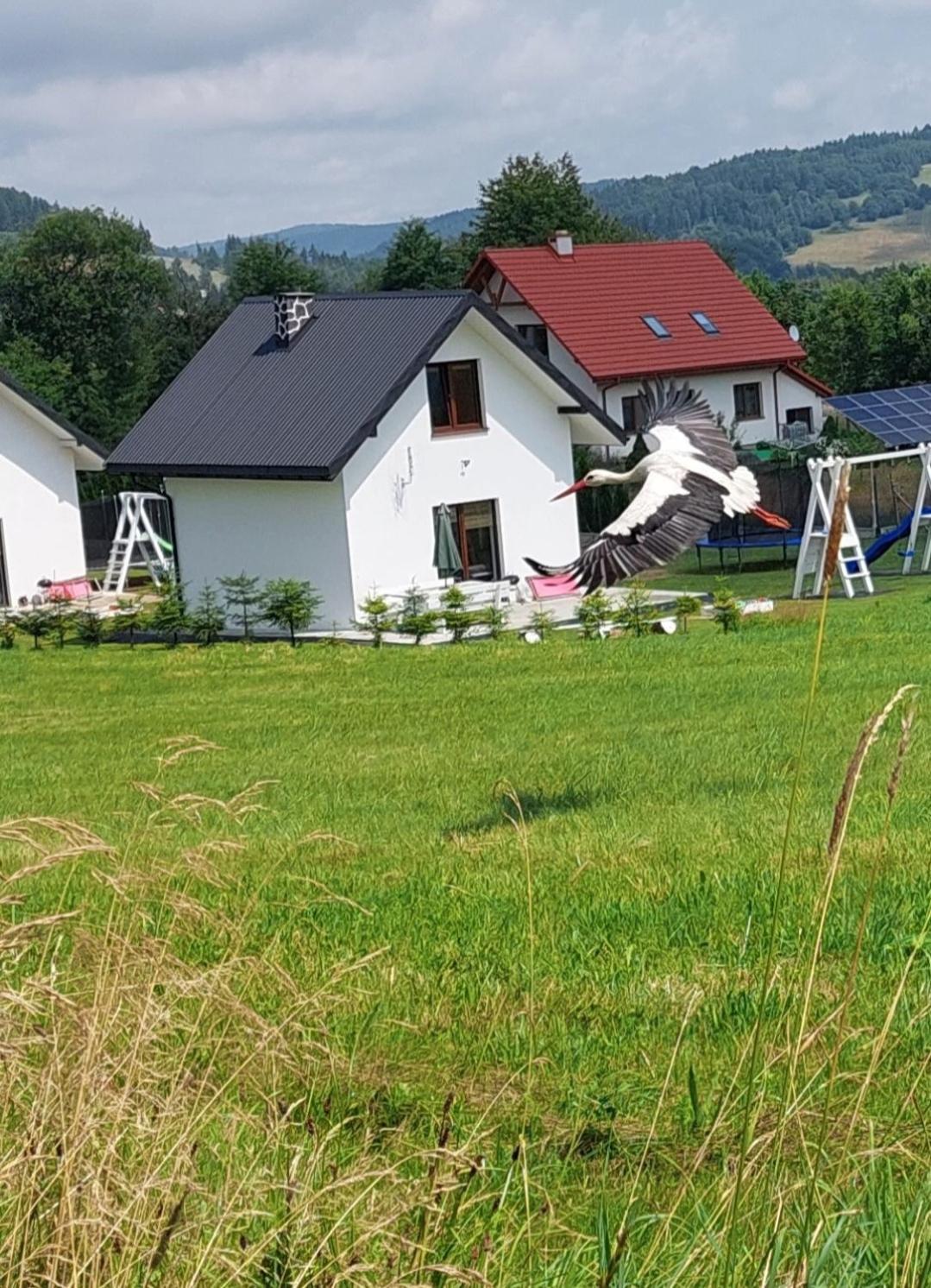 Domek Pod Holica 2 Bieszczady Ustrzyki Dolne Bagian luar foto